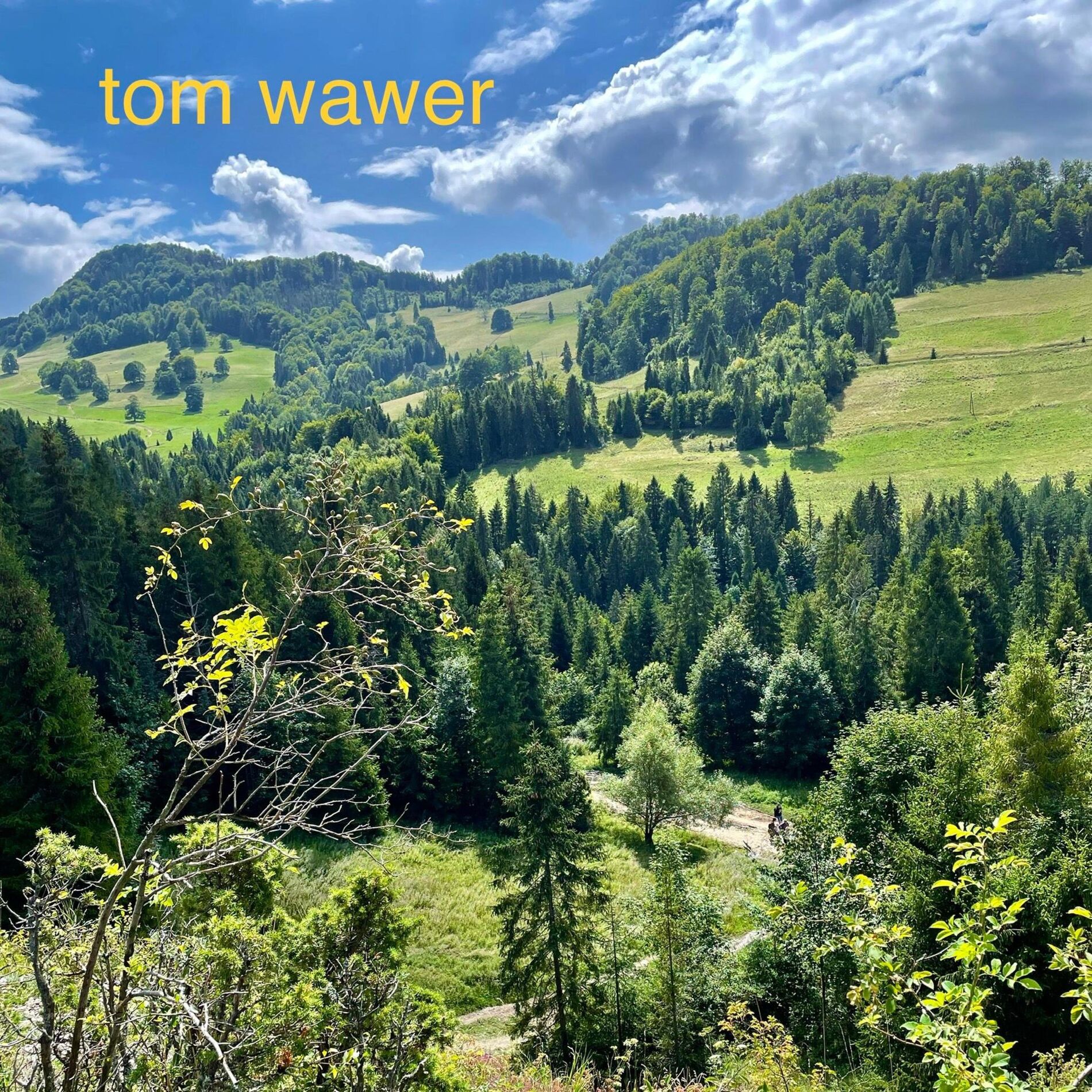 Album cover of mellow