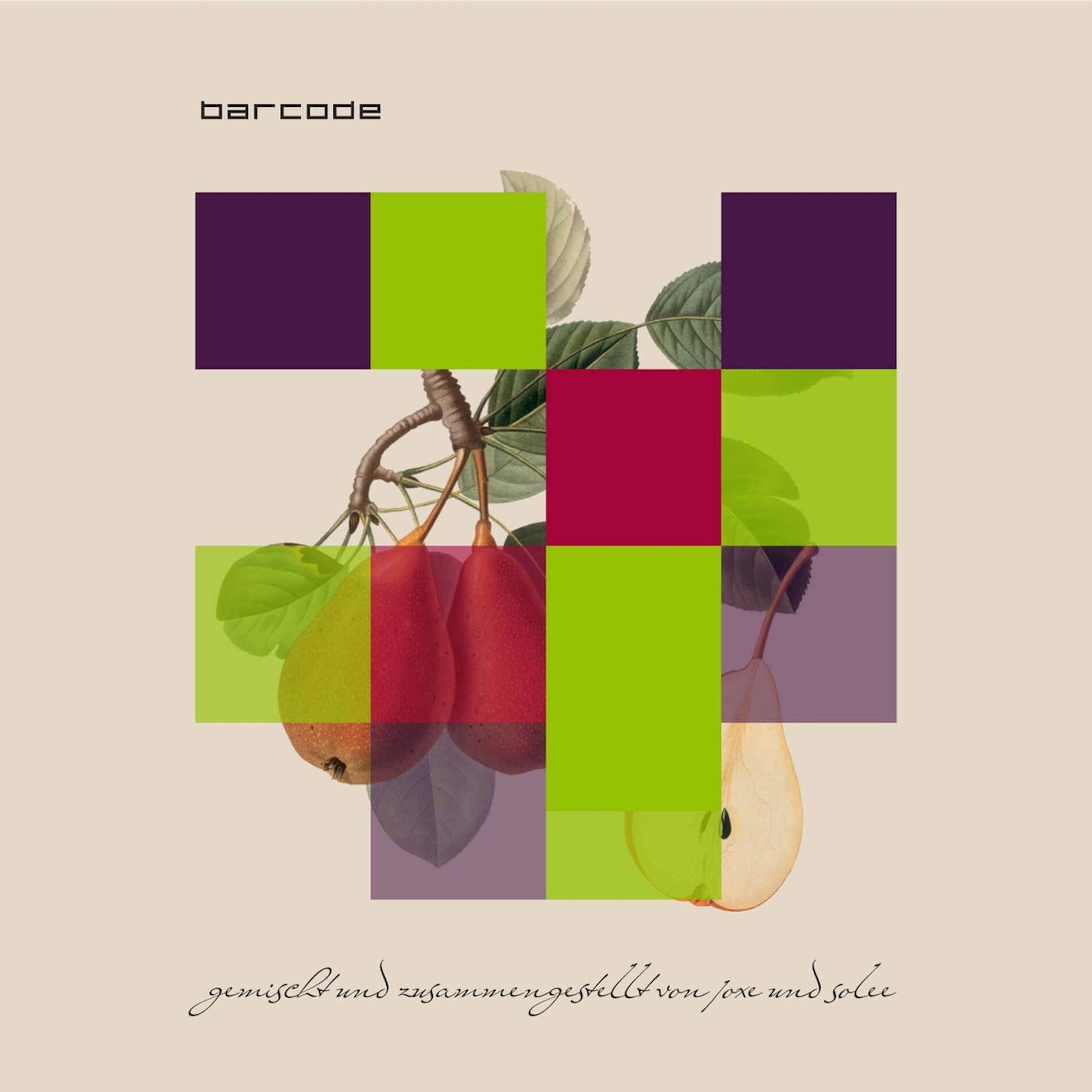 Album cover of Barcode Stuttgart - Compiled & Mixed By Joxe & Solee (incl. Continuous DJ Mix)