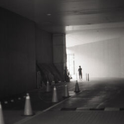 Cover of Siren