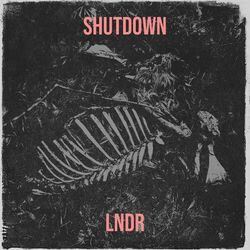 Cover of Shutdown