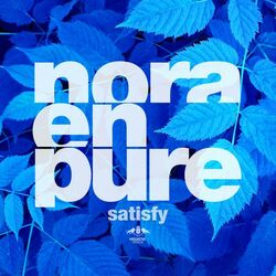Cover of Satisfy