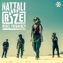 Cover of Rebel Frequency