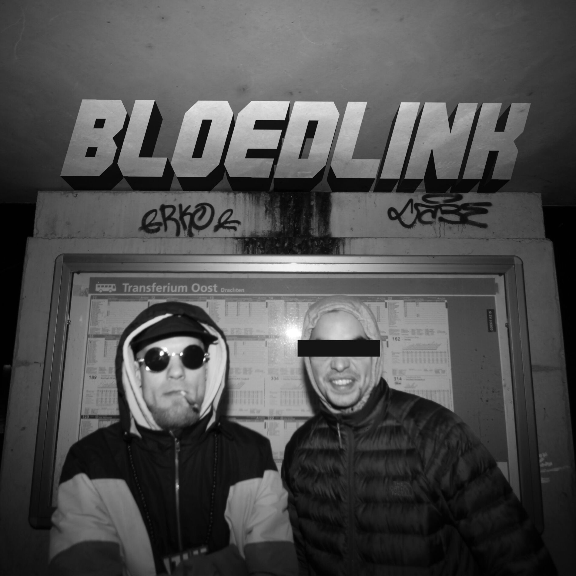 Album cover of Bloedlink