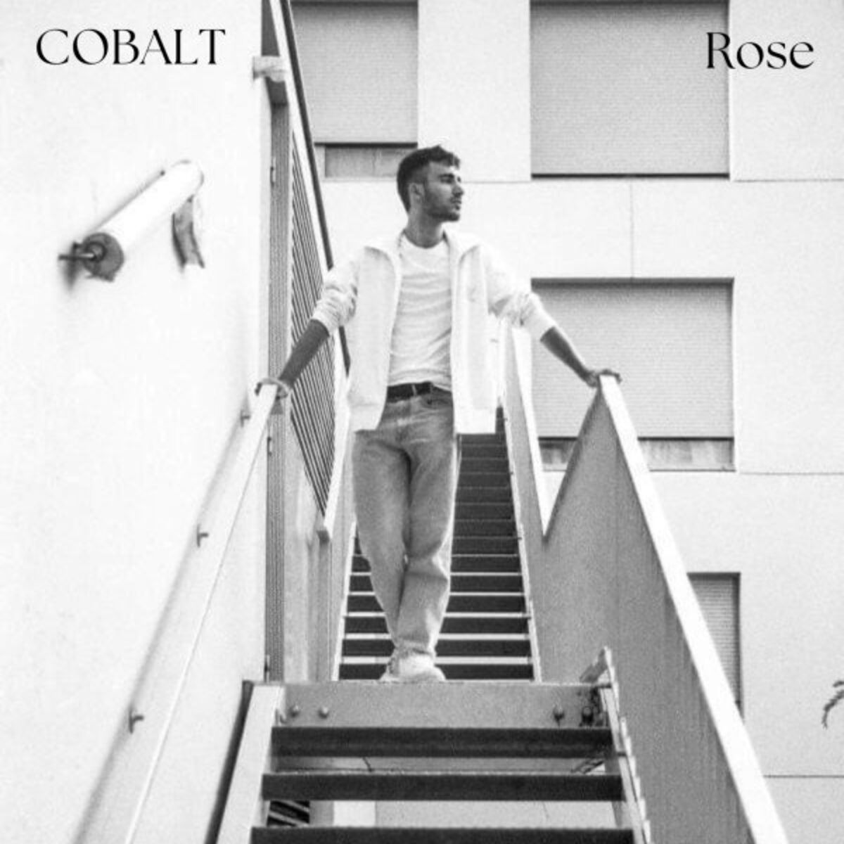 Album cover of Rose