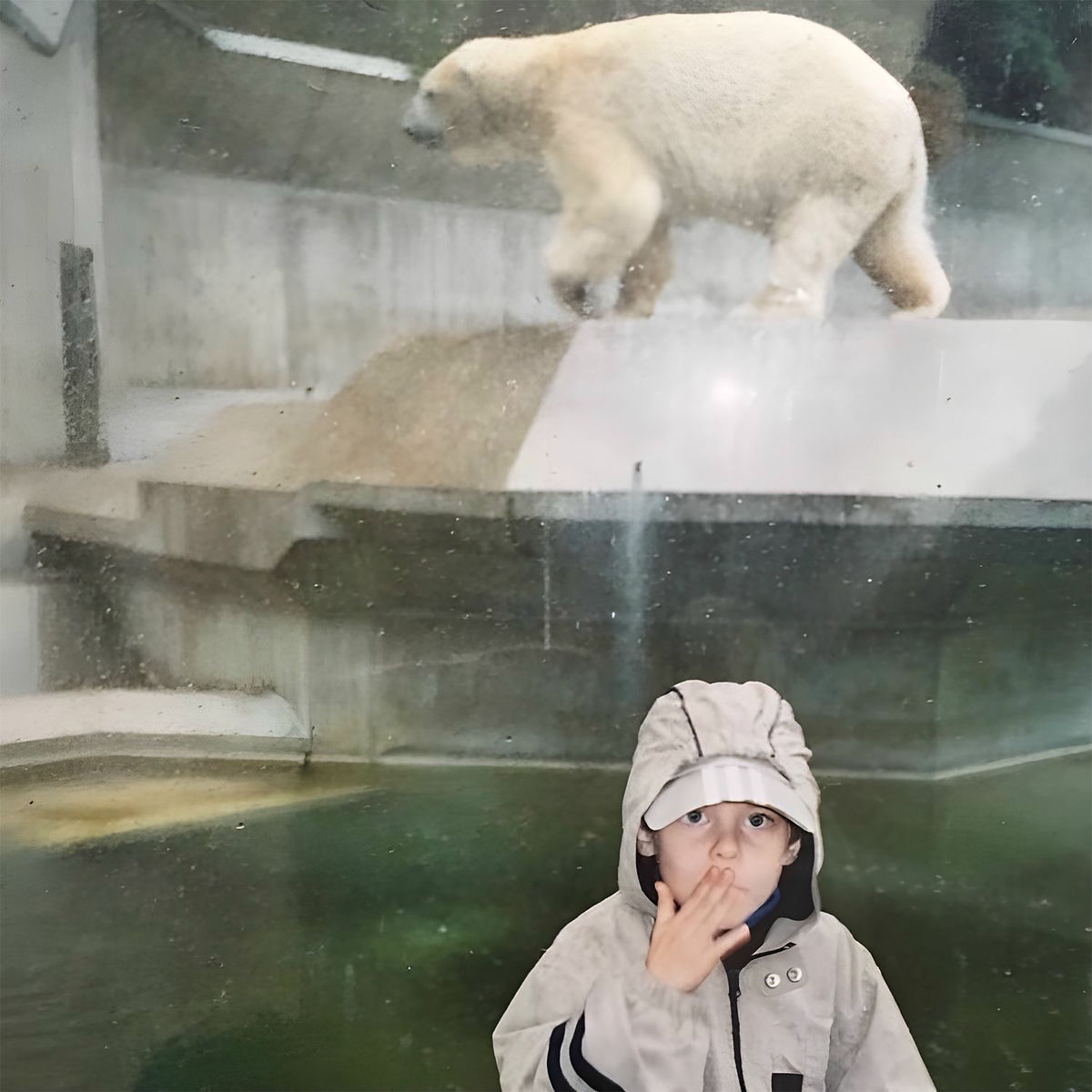 Album cover of 2 Teile