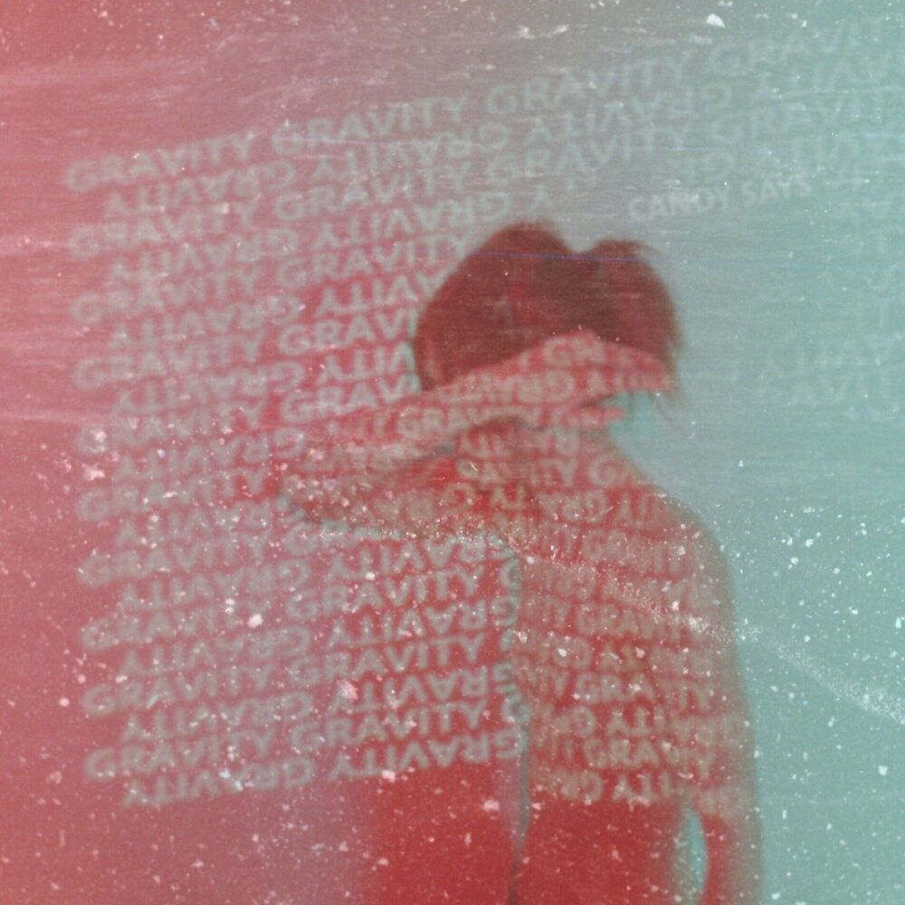 Picture of Gravity