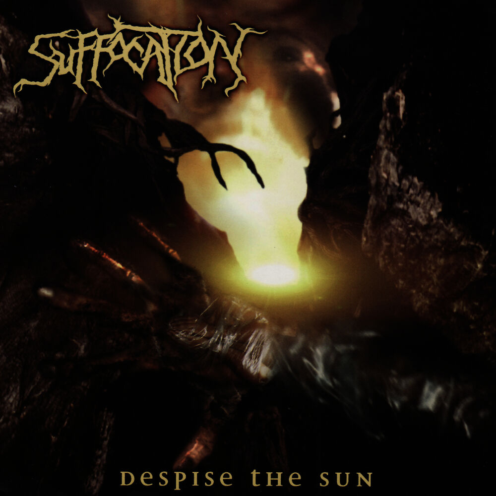 Picture of Despise the Sun