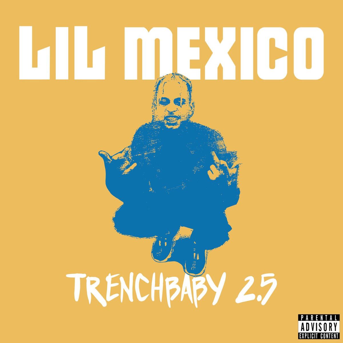 Album cover of Trench Baby 2.5
