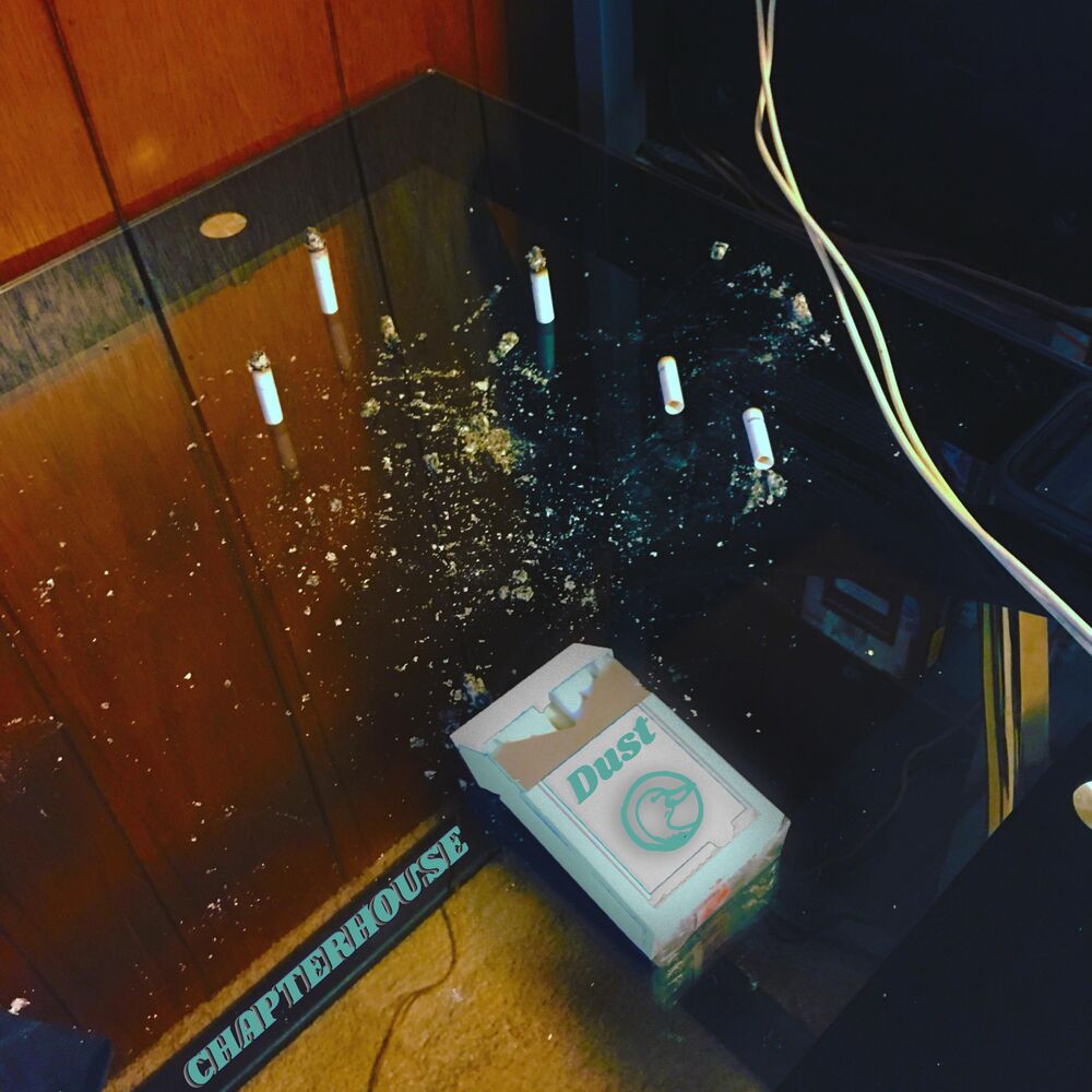 Picture of Dust