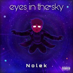 Cover of Eyes in the Sky