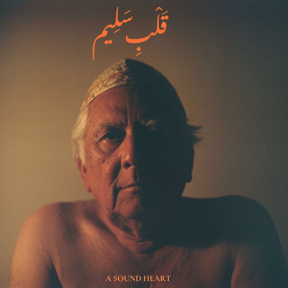 Album cover of A Sound Heart