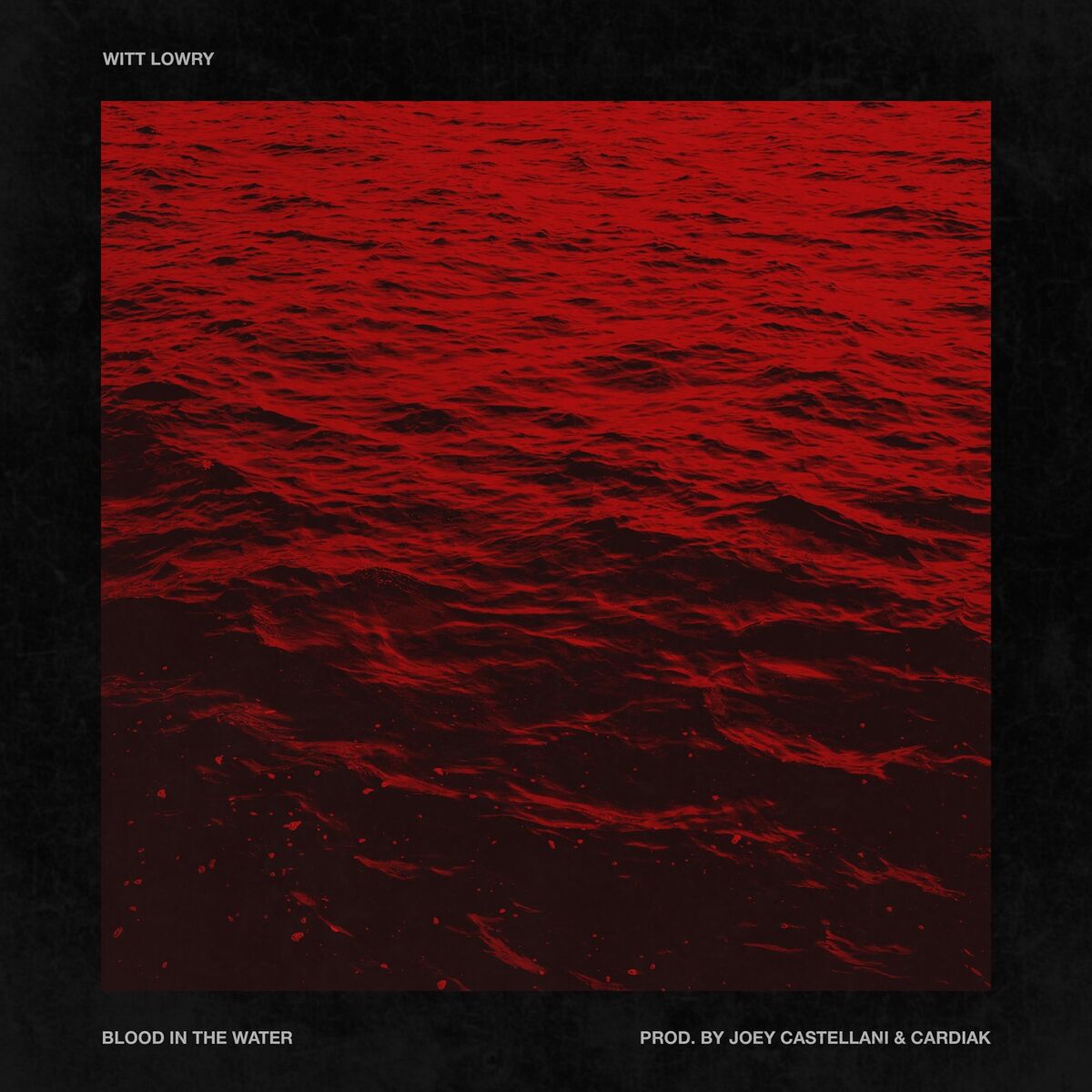 Album cover of Blood in the Water