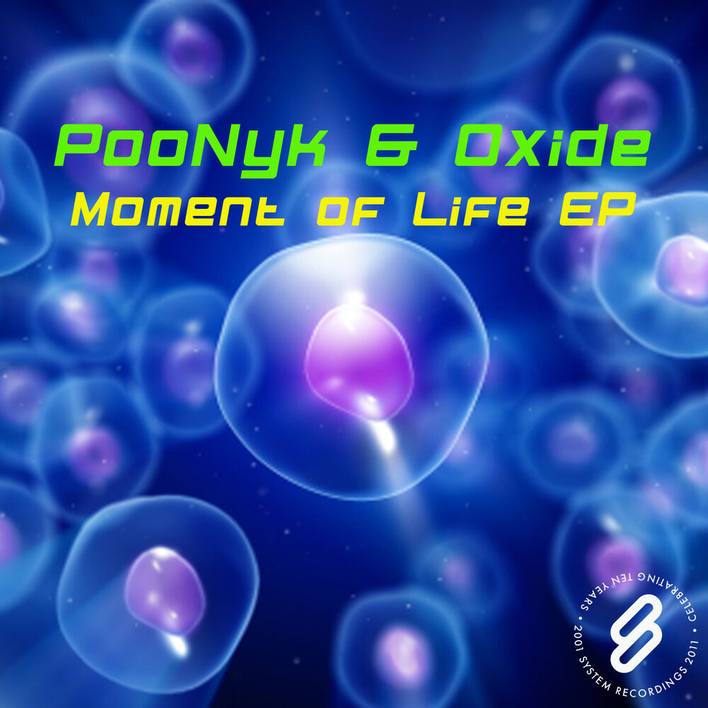 Picture of Moment Of Life EP