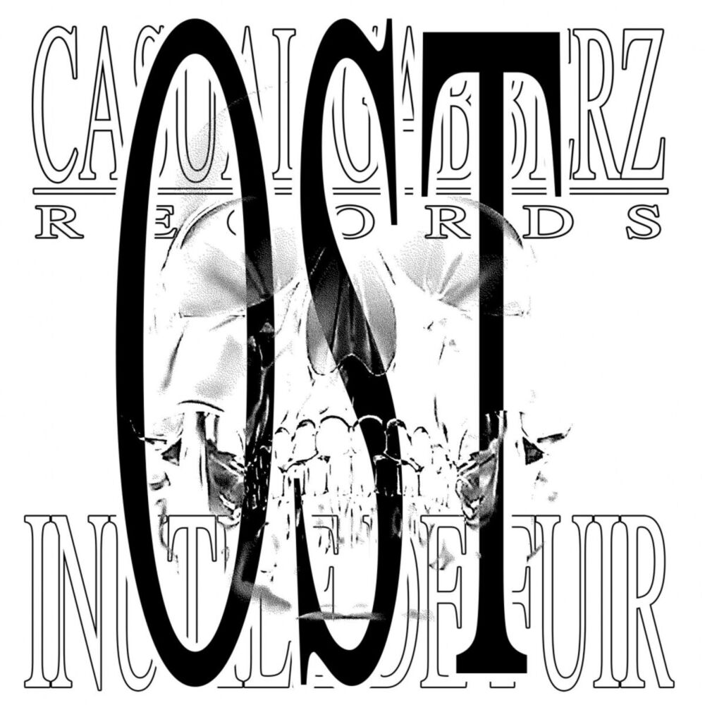 Picture of Inutile De Fuir OST