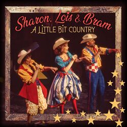 Cover of A Little Bit Country