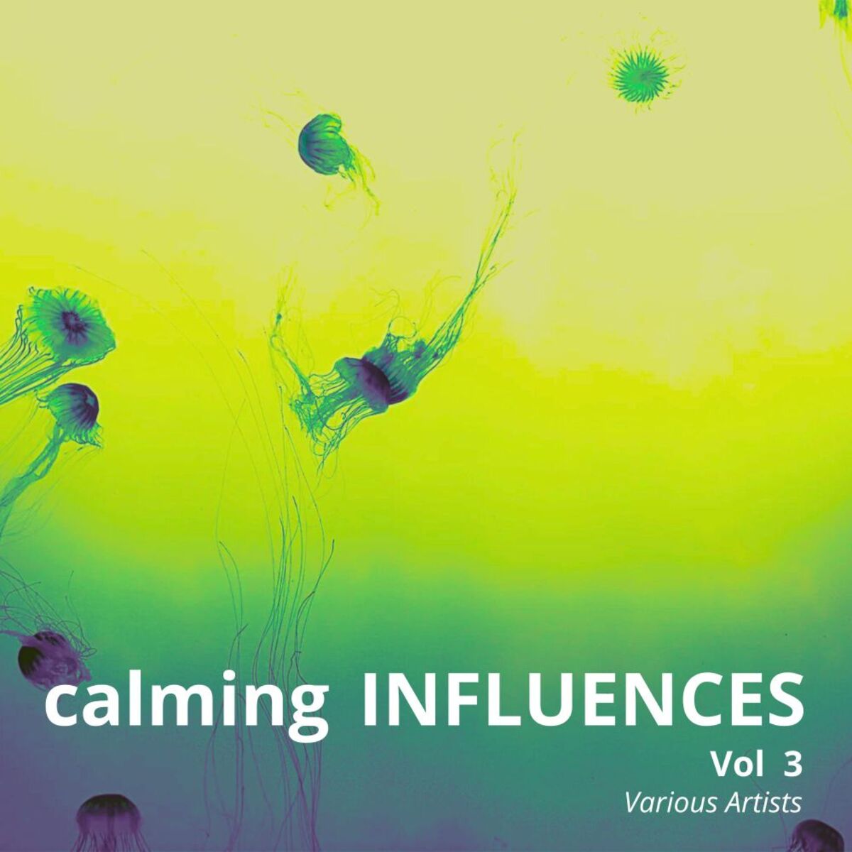 Album cover of Calming Influences, Vol. 3