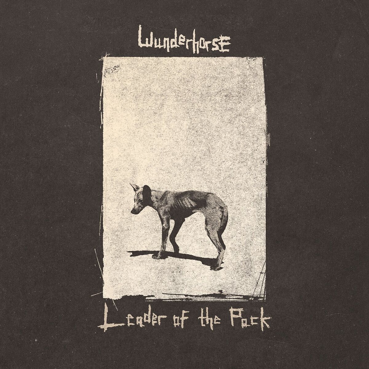 Album cover of Leader of the Pack