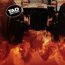 Cover of Salt Lick (Deluxe Edition)