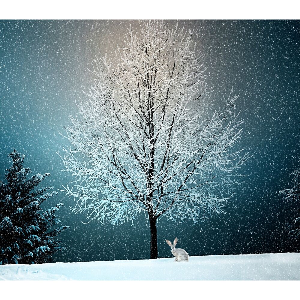 Picture of 20 Cozy Christmas & New Year Chillout Celebration Tracks