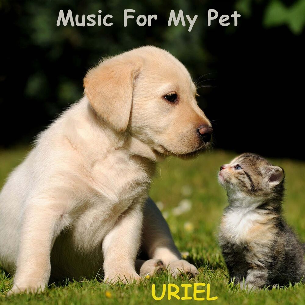 Picture of Music For My Pet