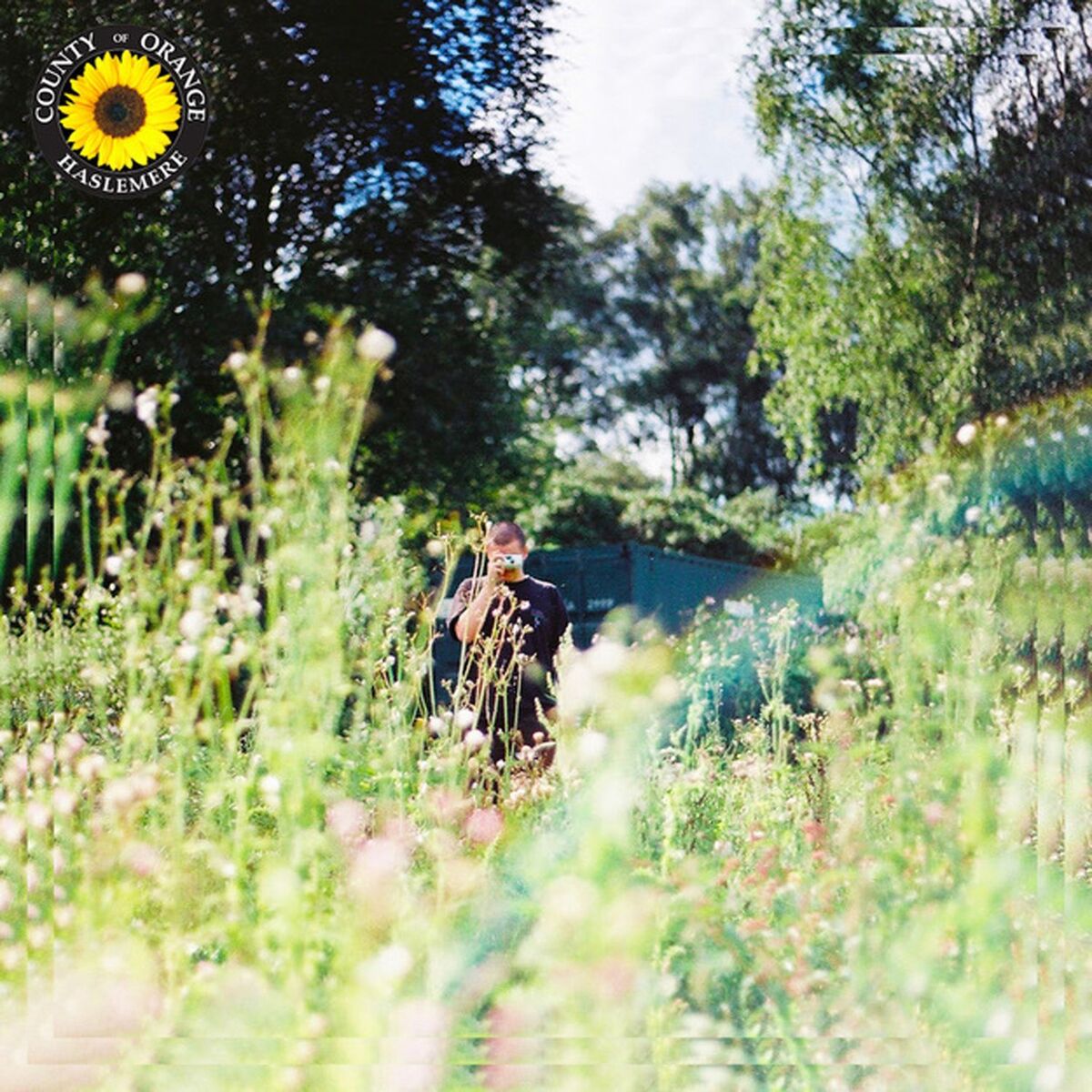 Album cover of Sunflower