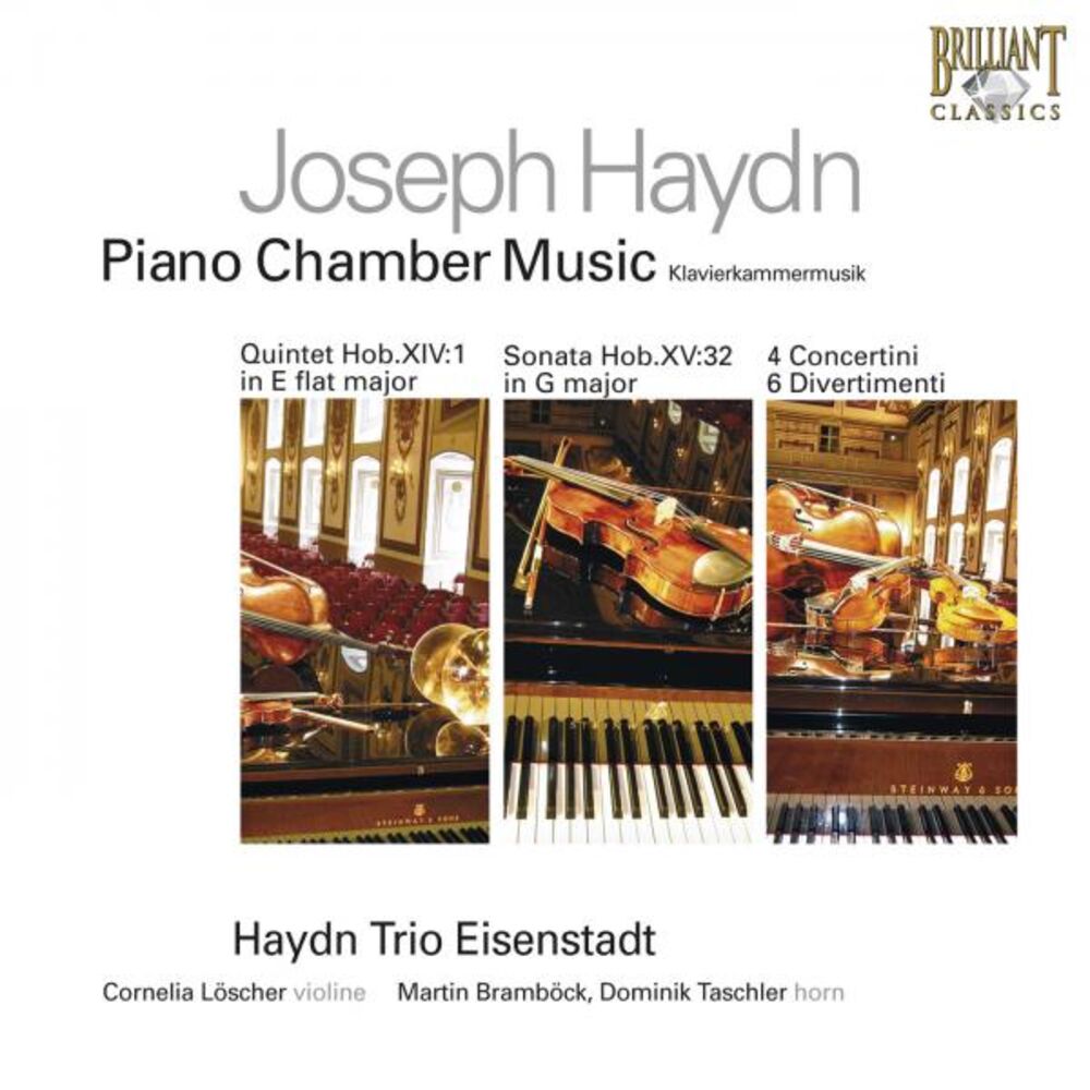 Picture of Haydn: Piano Chamber Music