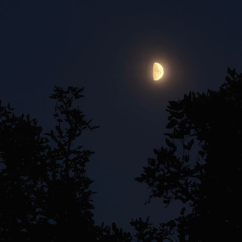 nothing but the moon artwork