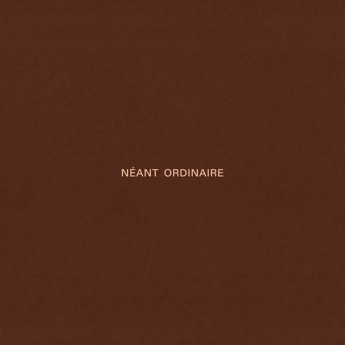 Album cover of Néant ordinaire