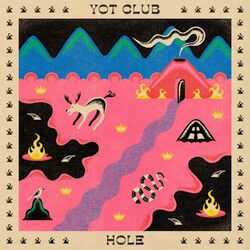 Cover of Hole