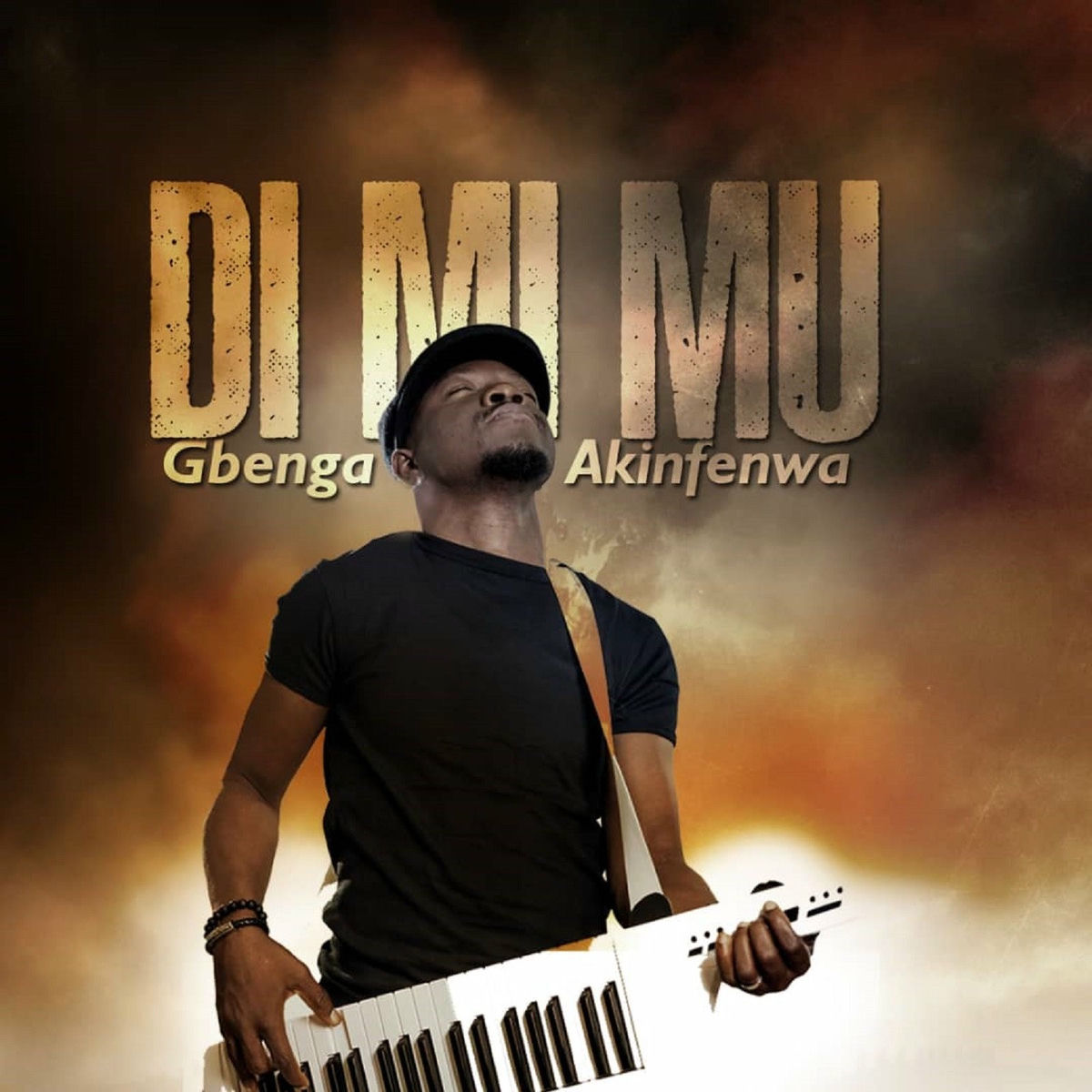 Album cover of Di Mi Mu