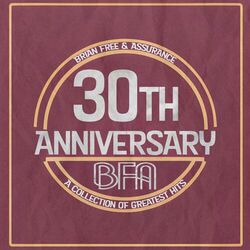 Cover of 30th Anniversary (REMASTERED)