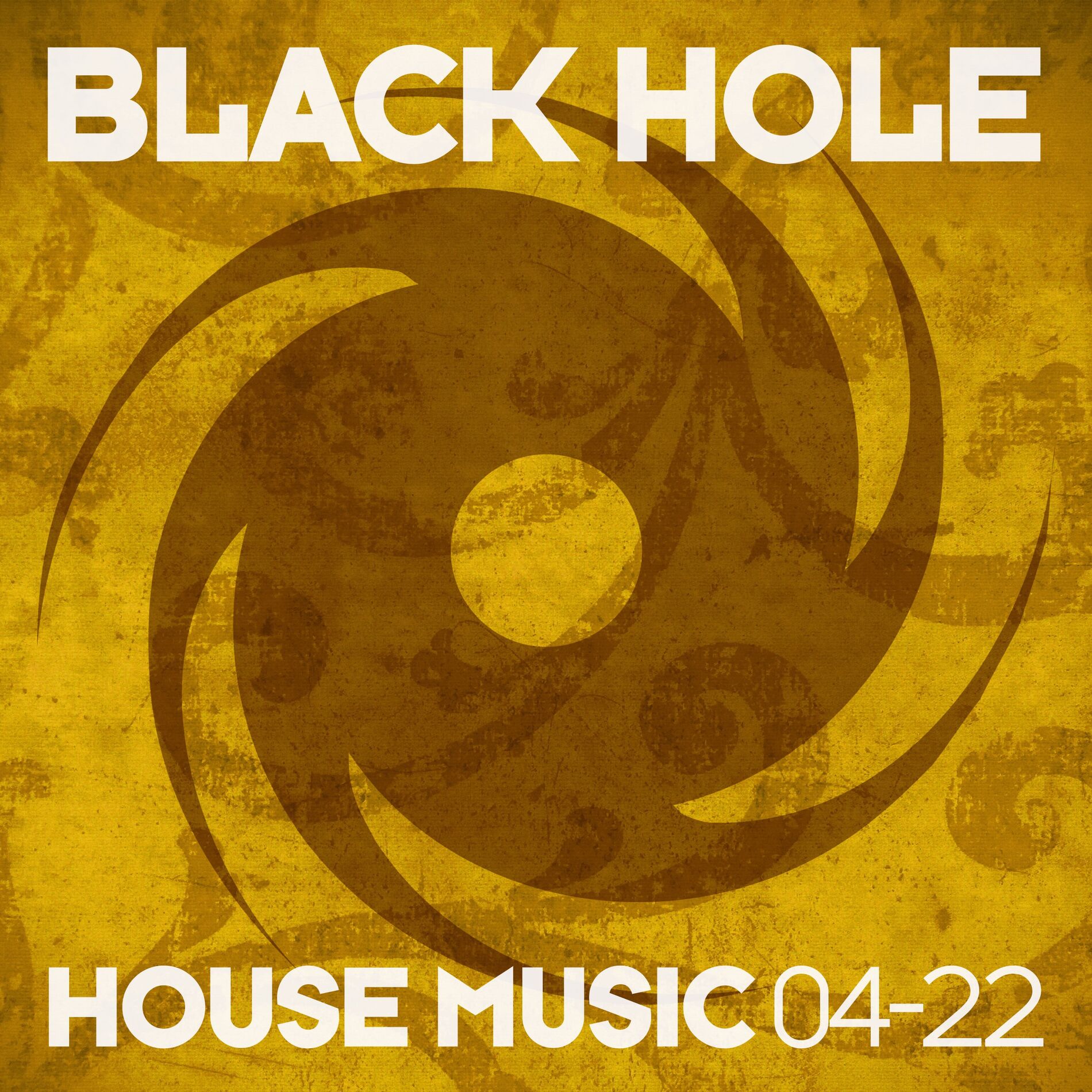 Album cover of Black Hole House Music 04-22