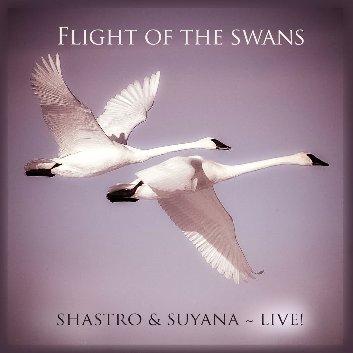 Album cover of Flight of the Swans