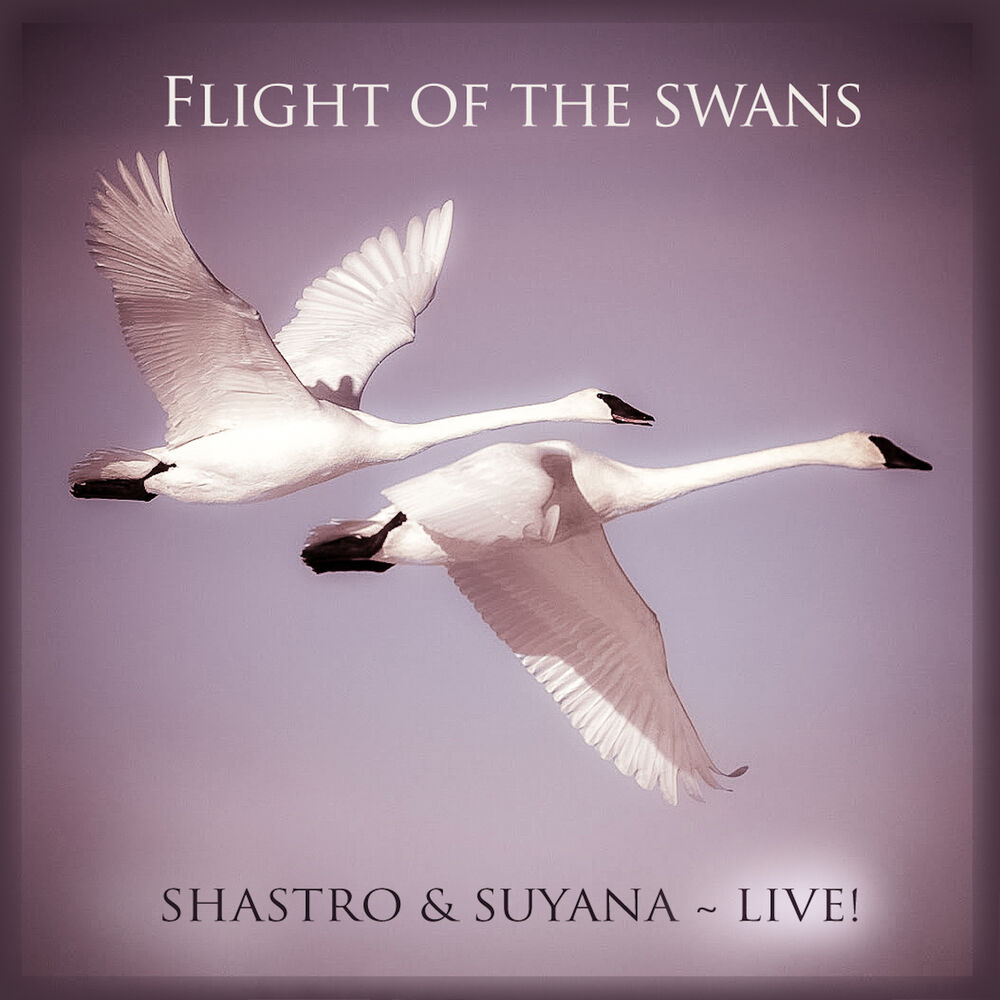 Picture of Flight of the Swans (Live)