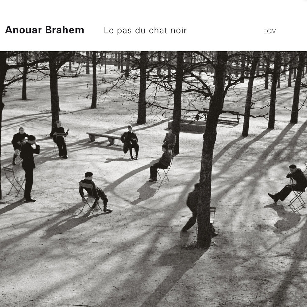 Picture of Le pas du chat noir