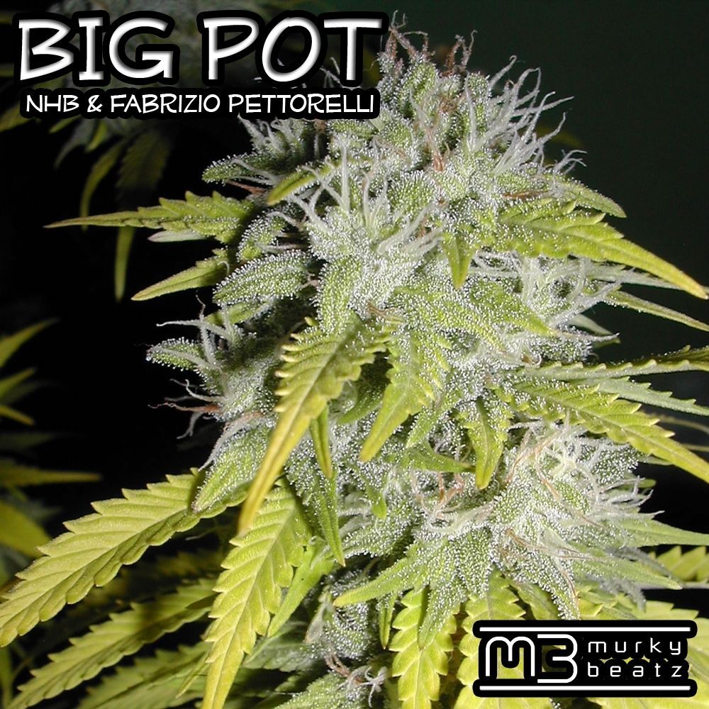 Picture of Big Pot