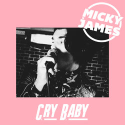 Cover of Crybaby