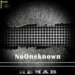 Cover of Rehab