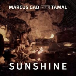 Cover of Sunshine