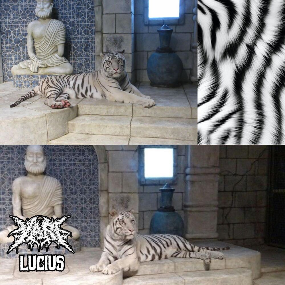 Picture of Lucius