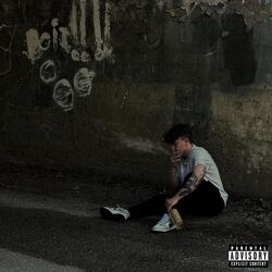 Cover of What Goes Up, Must Come Down