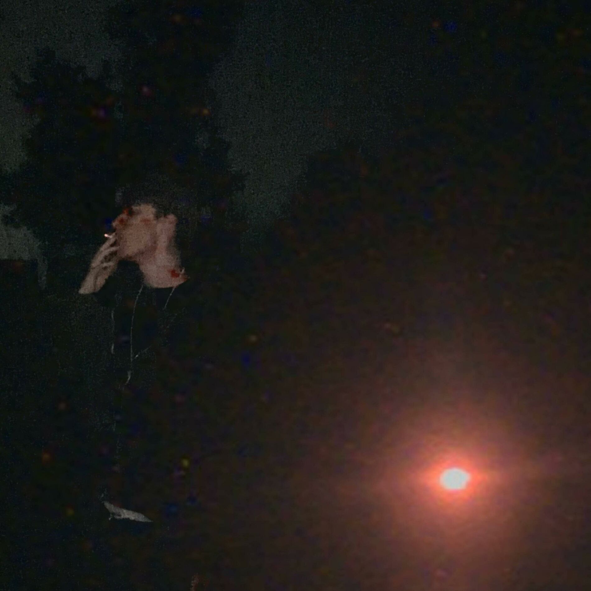 Album cover of whatsmyname?