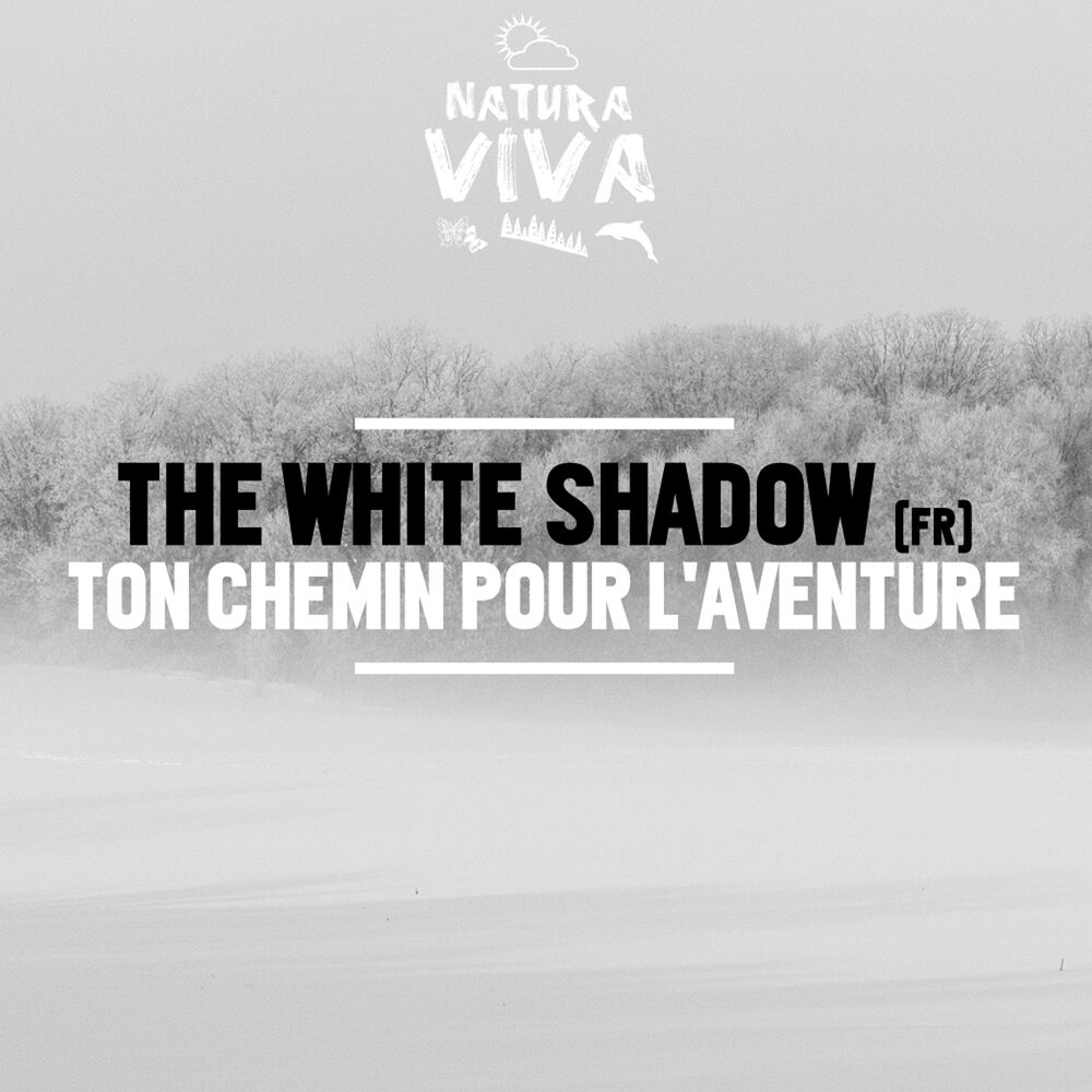 Picture of Ton chemin pour l'aventure