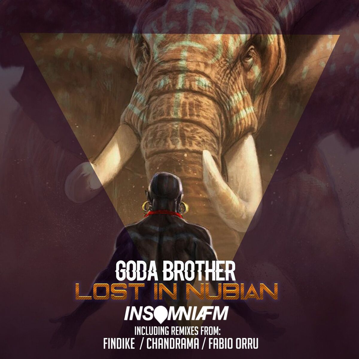 Album cover of Lost in Nubian