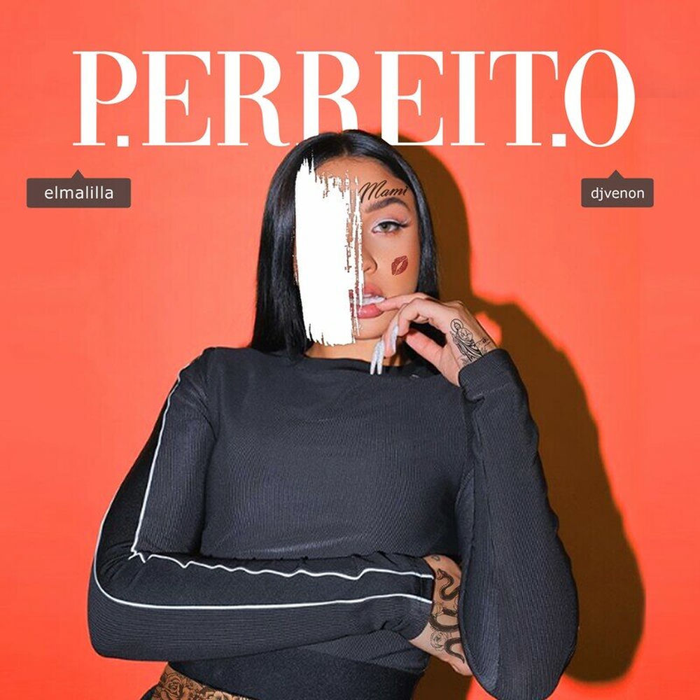 P. Erreit. O cover