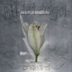 Cover of Alt det du gør