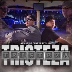 Cover of Tristeza