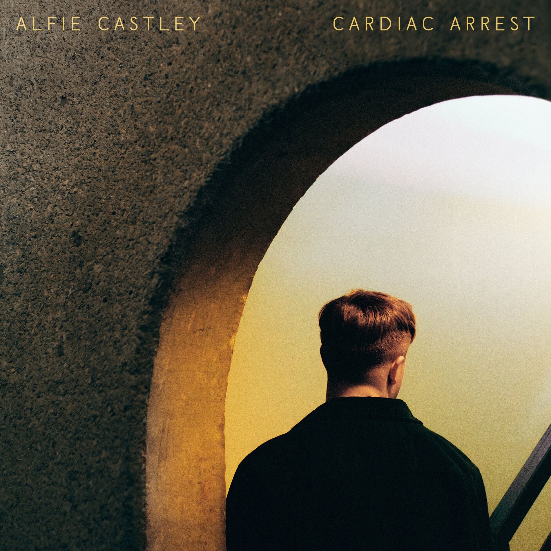 Album cover of Cardiac Arrest