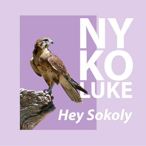HEY SOKOLY