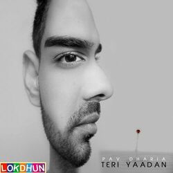 Cover of Teri Yaadan